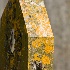 2Lichen Covered Headstone, Todi, Umbria - ID: 8233194 © Larry J. Citra