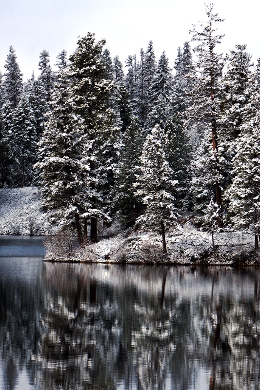 Reflections - ID: 8233661 © Jim Kinnunen