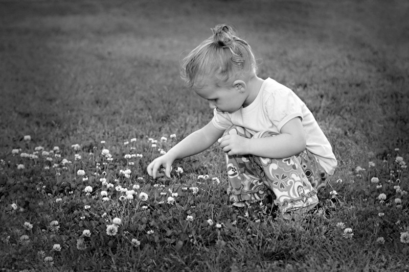 Little Flowers For A Little Girl