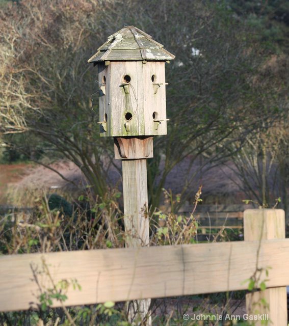 Weathered Birdhouse and Fence