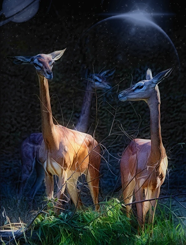 img2