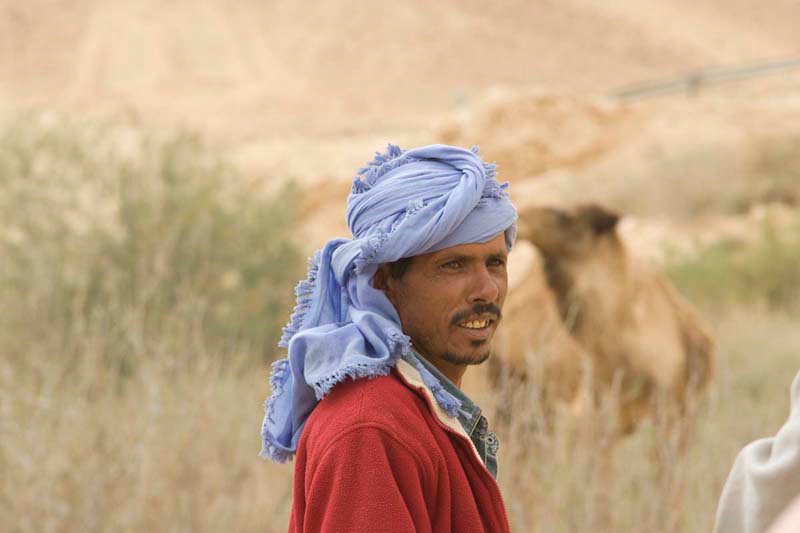 The camel shepherd