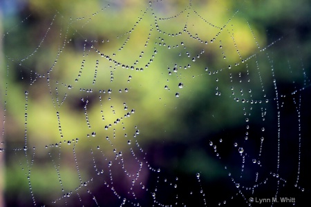 web