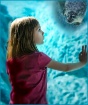 "Wonder"