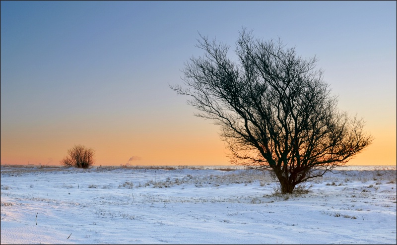 Winter Morning