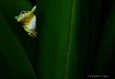 Hiding Seek