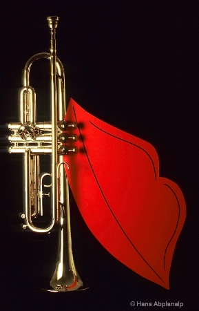 trumpet  