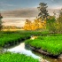 © James W. Betts PhotoID # 8305562: River Creek