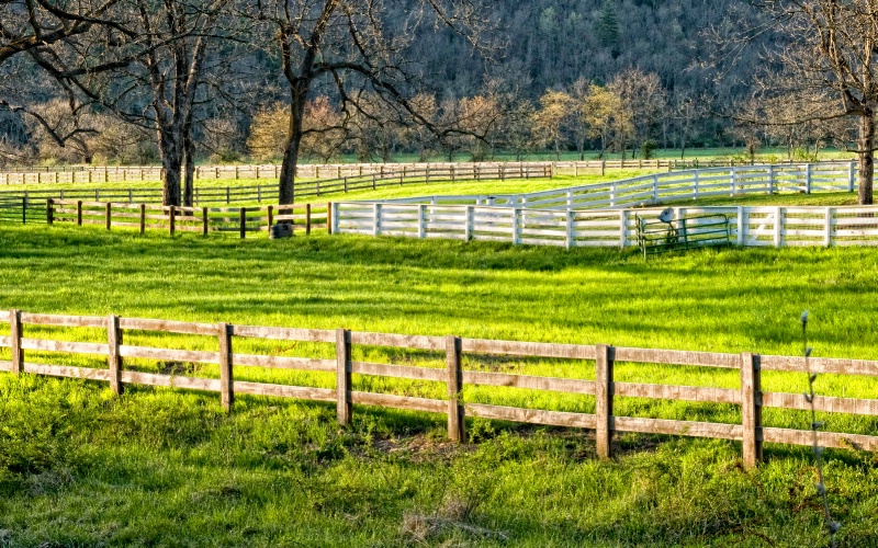 The Ranch with no horses