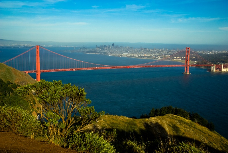 Golden Gate Bridge Facing West Full View  - ID: 8311227 © Susan M. Reynolds