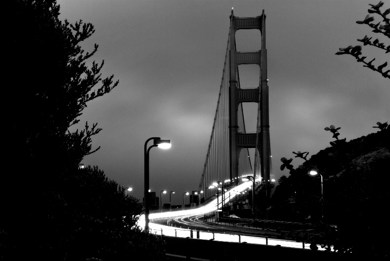 Golden Gate Bridge ~ San Francisco, CA  - ID: 8311328 © Susan M. Reynolds