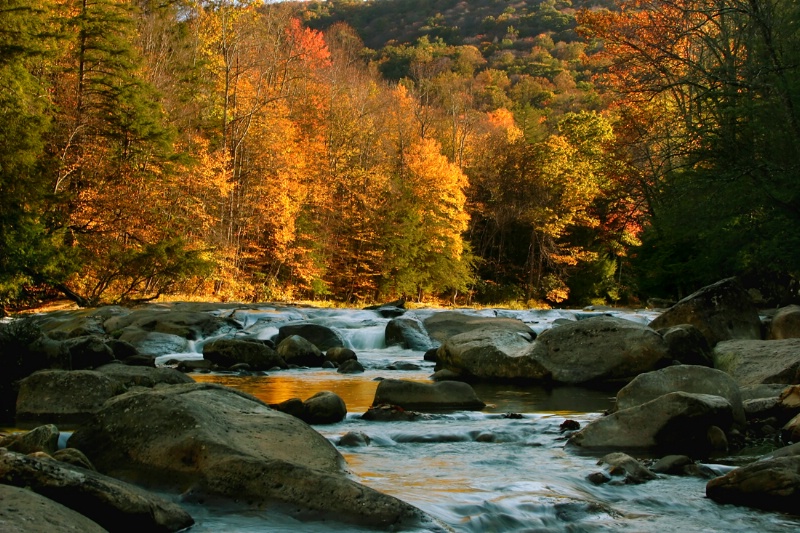 Fall on the Williams River - Horizontal - ID: 8313308 © John Singleton