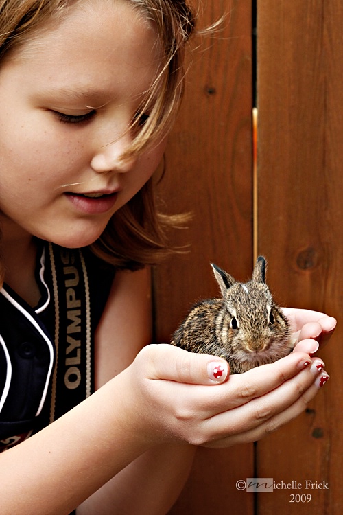 Bitty Baby Bunny