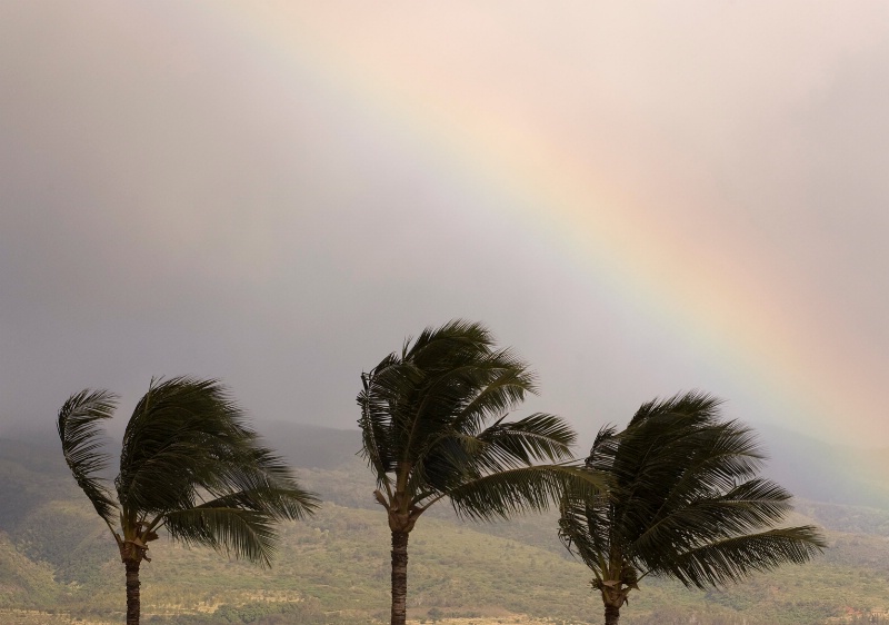 Rainbow in the tropics