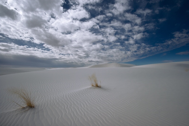 White Sands - ID: 8319436 © Patricia A. Casey