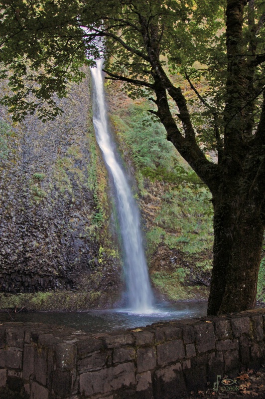 Horsetail Falls 1, Columbia Gorge, OR