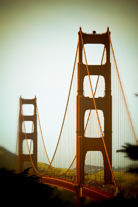 Golden Gate Bridge ~ San Francisco, CA - ID: 8328048 © Susan M. Reynolds