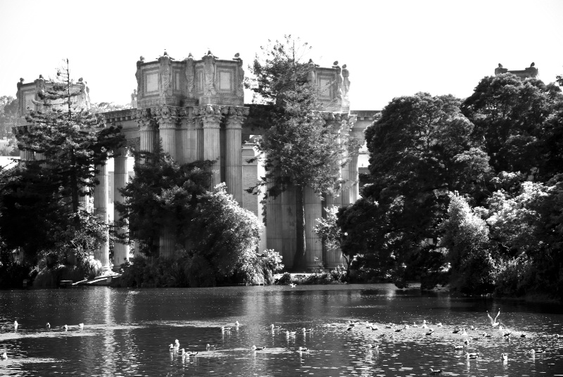 The Palace of Fine Arts in Black & White - ID: 8328051 © Susan M. Reynolds