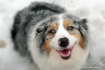 Macy~May Pass'...