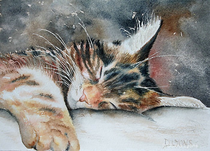 Sweet Dreams, Sleeping Kitten