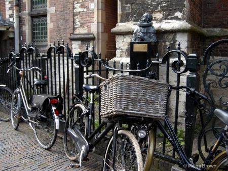 Biking in Haarlem