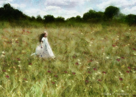 ~ Field of Dreams ~