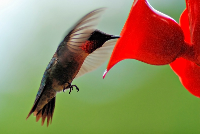 In Flight !