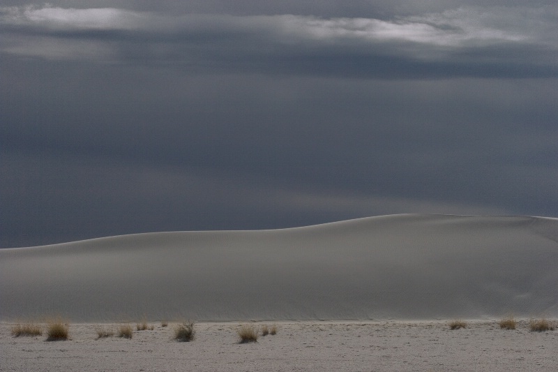 Dune - ID: 8335178 © Patricia A. Casey
