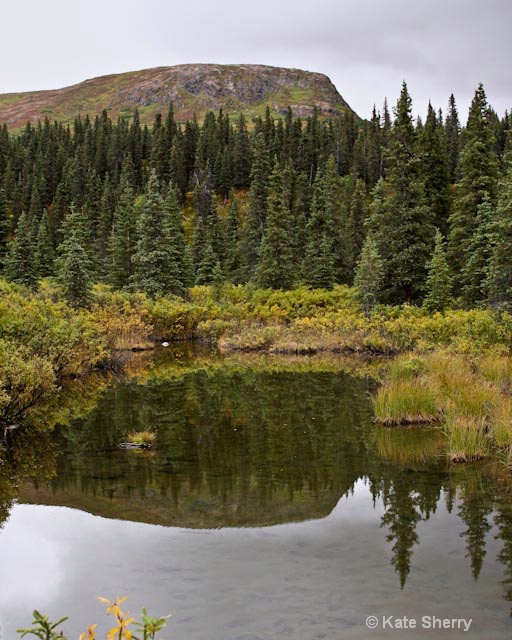 alaska landscape - ID: 8339150 © Katherine Sherry