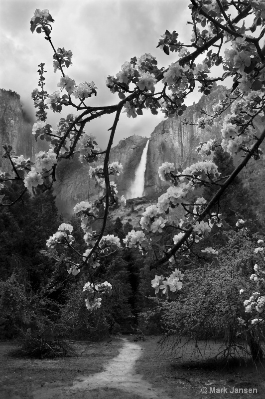 Blossom Falls