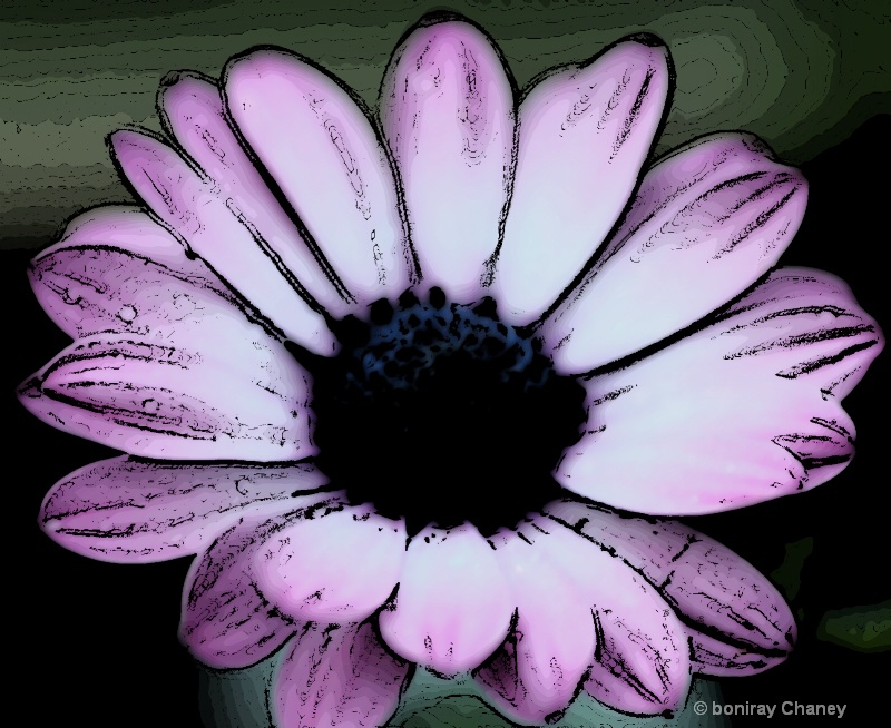 My flower collection - ID: 8342168 © BoniRay Chaney