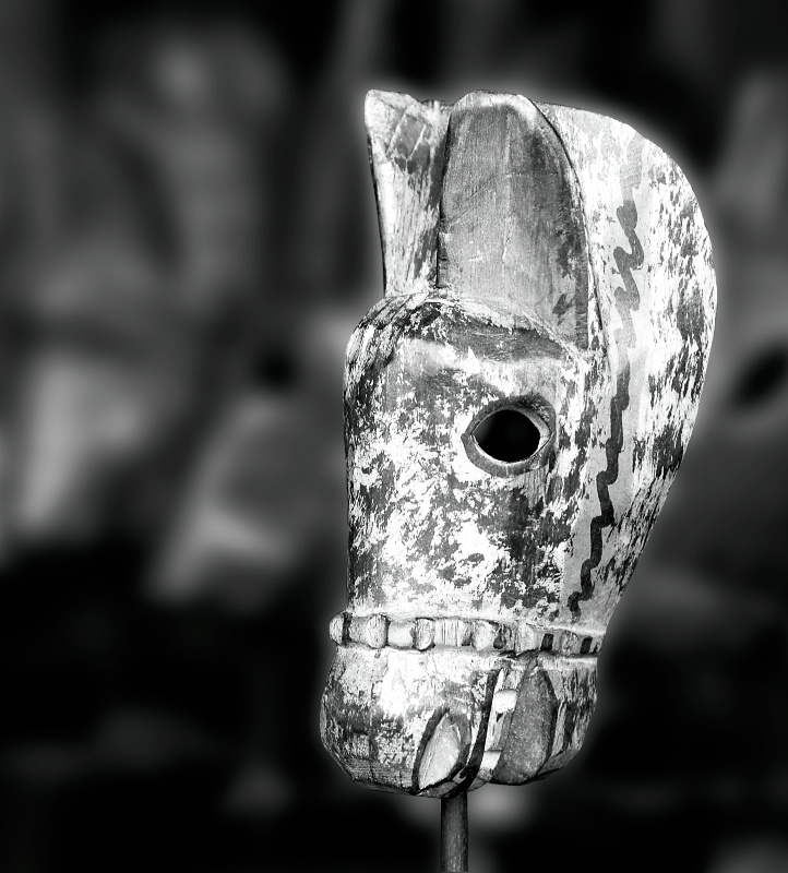 Horse Mask Cropped - ID: 8357008 © Mauricio Diaz