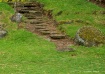 Steps
