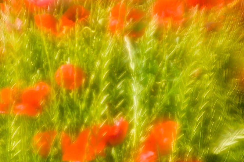 Double Exposure - Near Assisi, N. Umbria, Italy - ID: 8363715 © Larry J. Citra