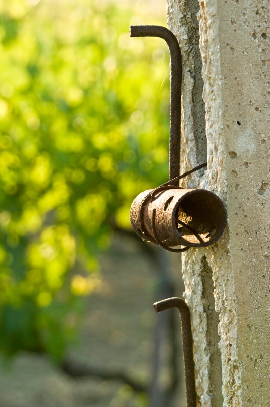 Vineyard Line Tightener - Assisi, N. Umbria, Italy - ID: 8363788 © Larry J. Citra