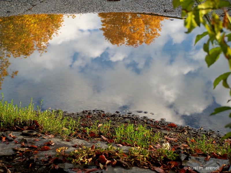 Puddle Series #1