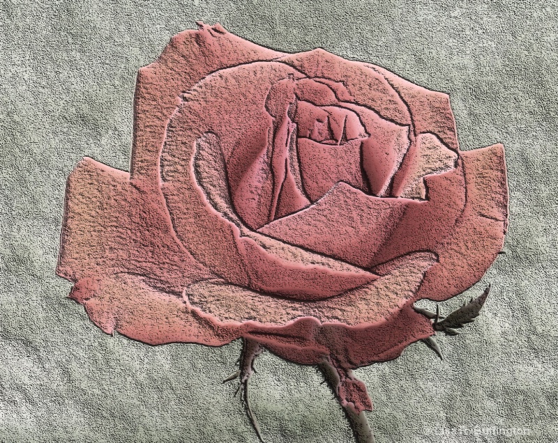 Pink Rose - ID: 8380068 © Lisa R. Buffington