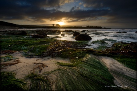 Low Tide at Four Mile Beach