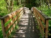 Bridge at Steam D...