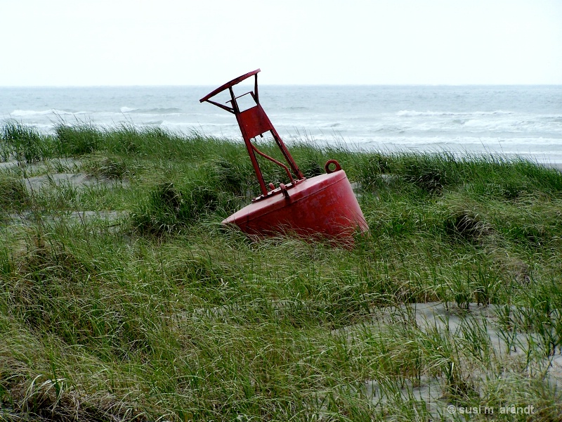 Bell Buoy on the Dunes