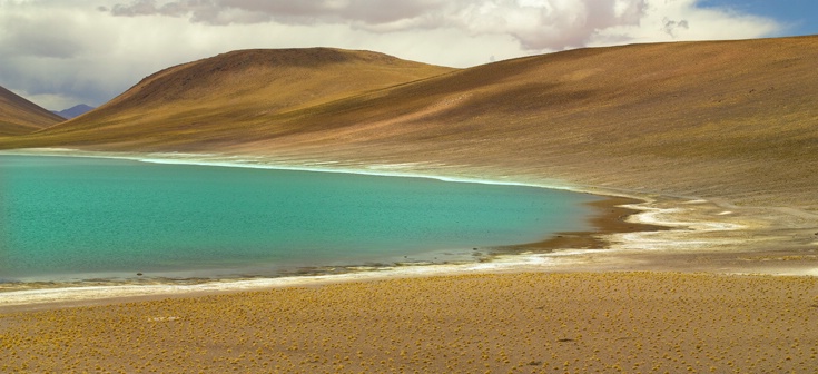 Laguna del Altiplano Chileno