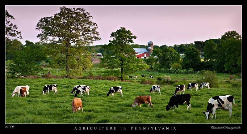 agriculture-in-pennsylvania-