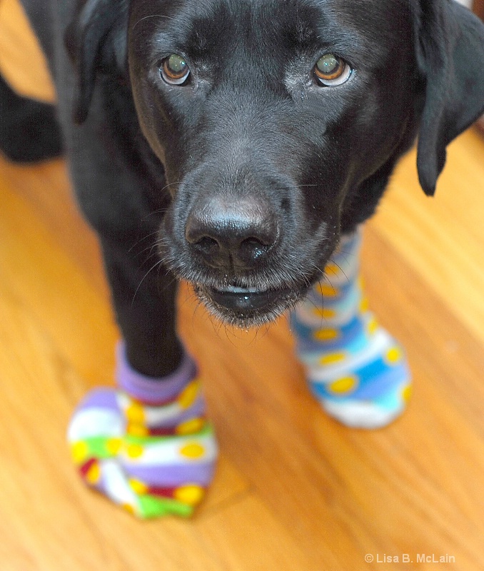 Maggie With Socks