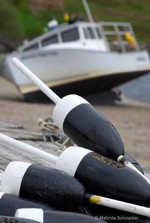 Beach Buoys