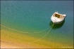 A Boat..