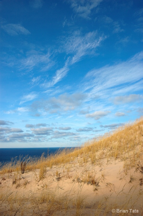 Arcadia Dunes