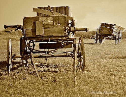 Wagons - ID: 8407809 © Emile Abbott