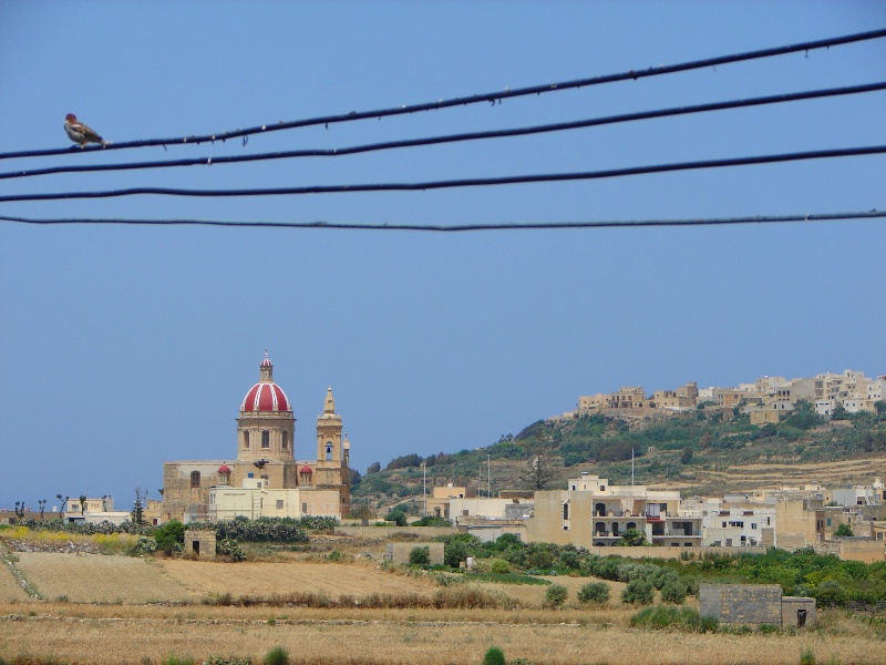 Gozitan landscape