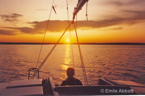 Ah enjoying the Golden Moment - ID: 8415012 © Emile Abbott