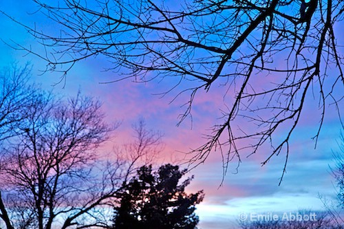 Evening Sky - ID: 8415014 © Emile Abbott